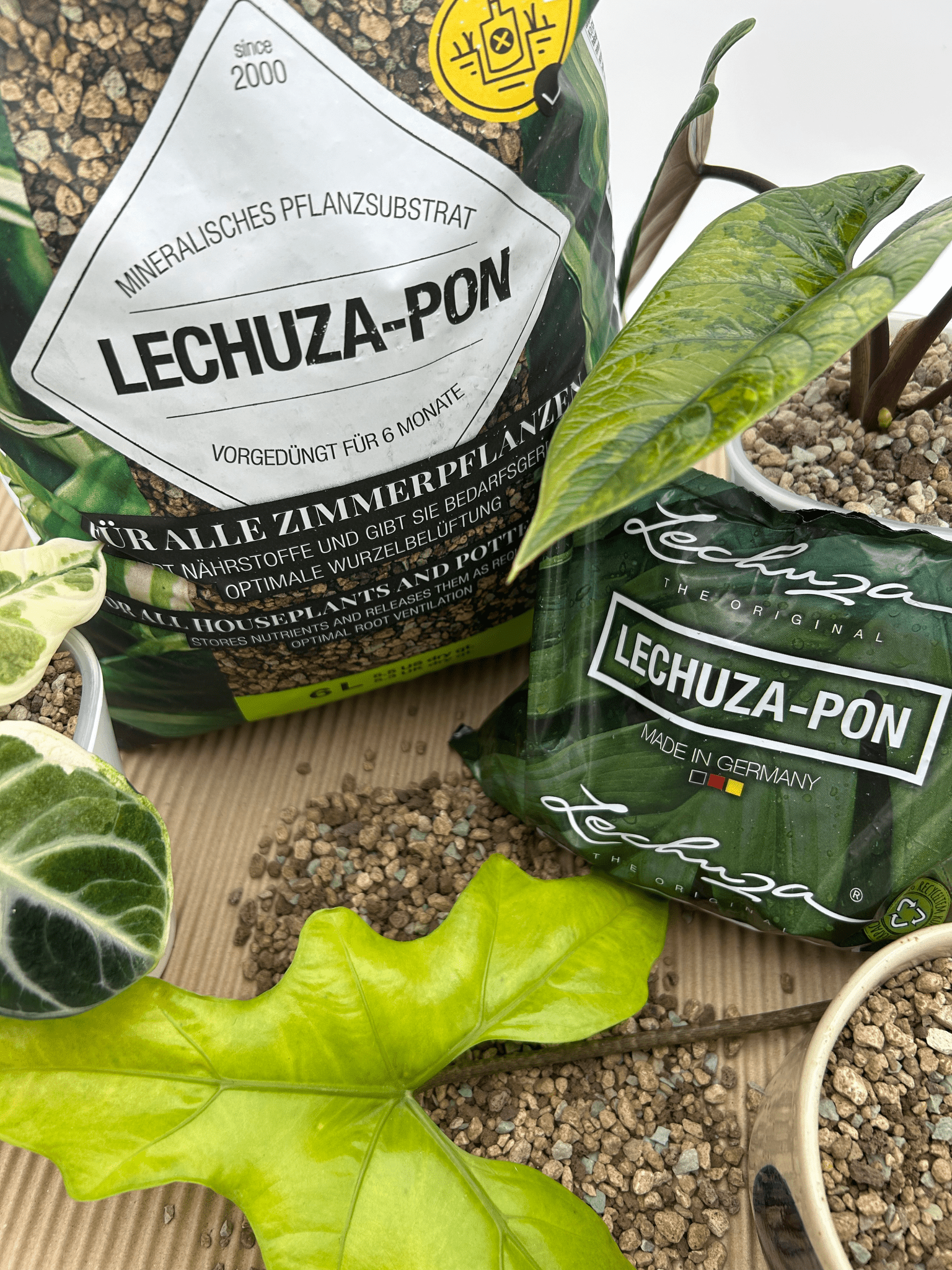 Lechuza Pon - Florigera