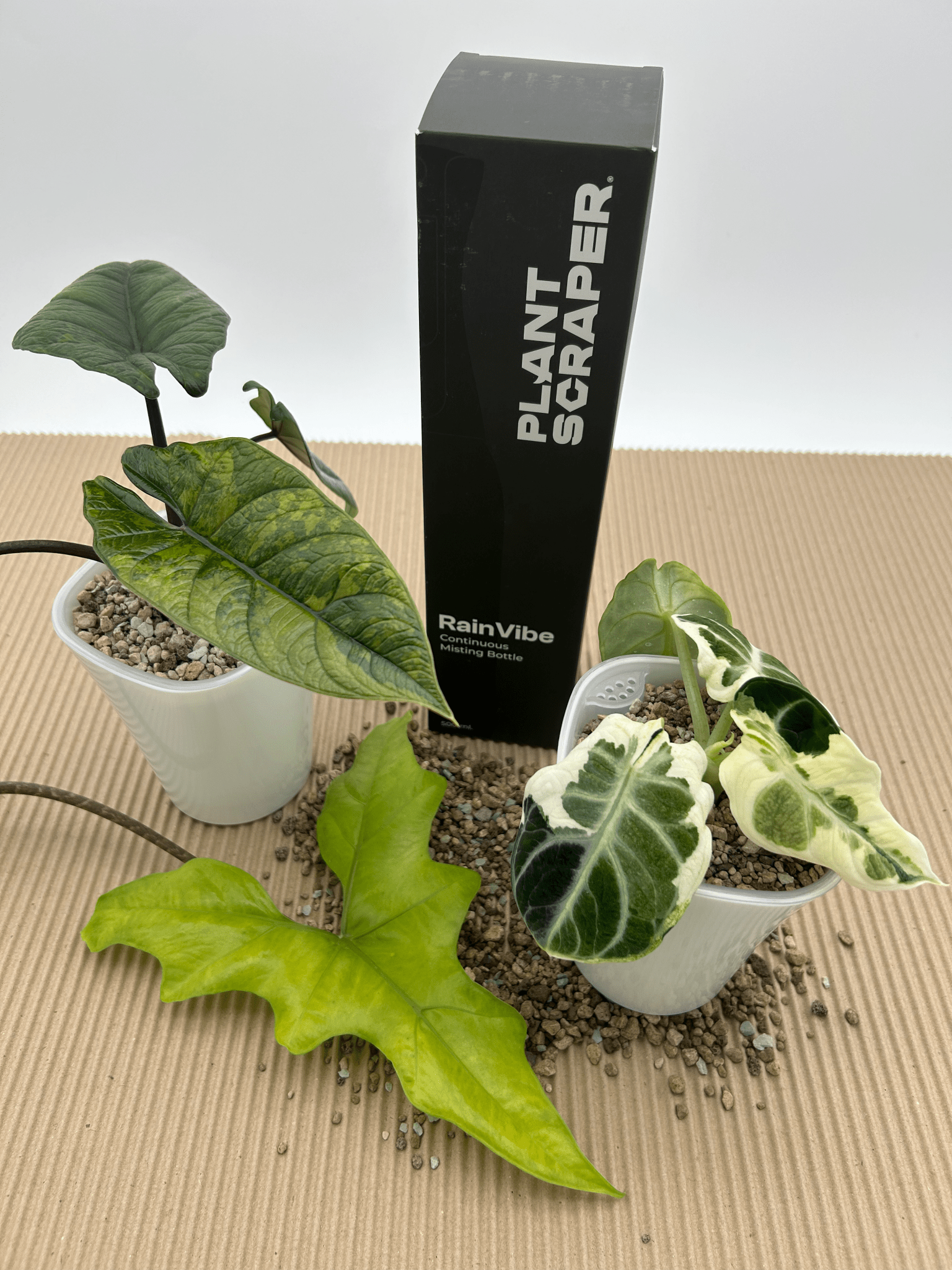 Rain Vibe Bottle 500ml - Florigera