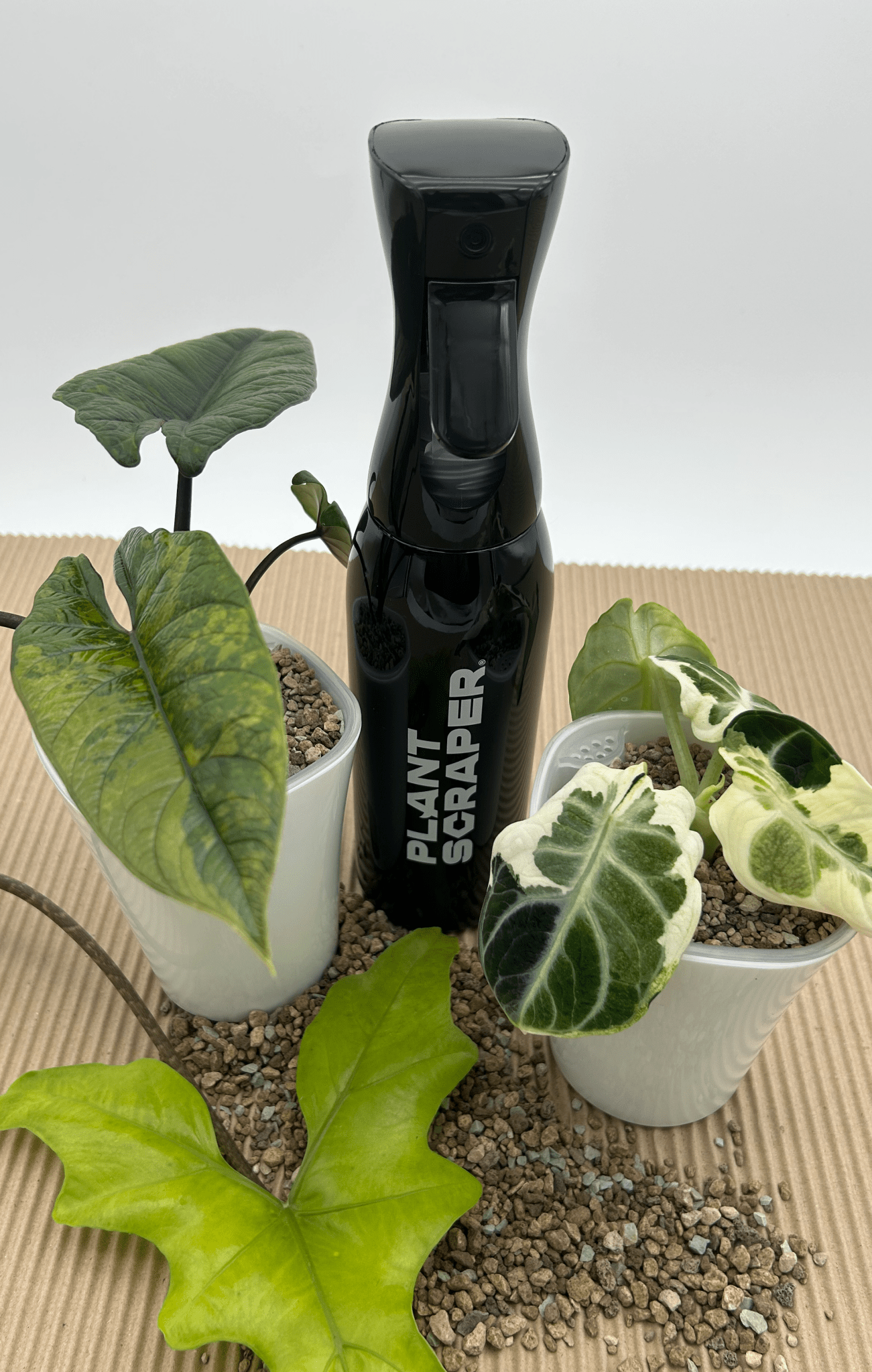 Rain Vibe Bottle 500ml - Florigera