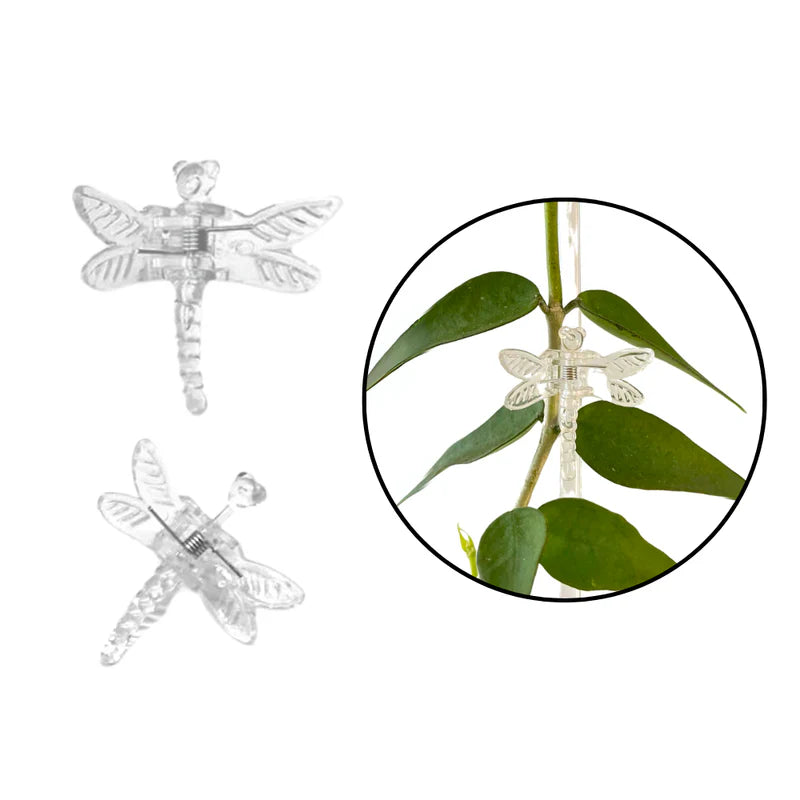 Plant Clips – priehľadné klipsy na uchytenie šplhavých rastlín