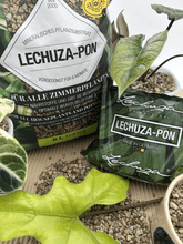 Lechuza Pon - Florigera