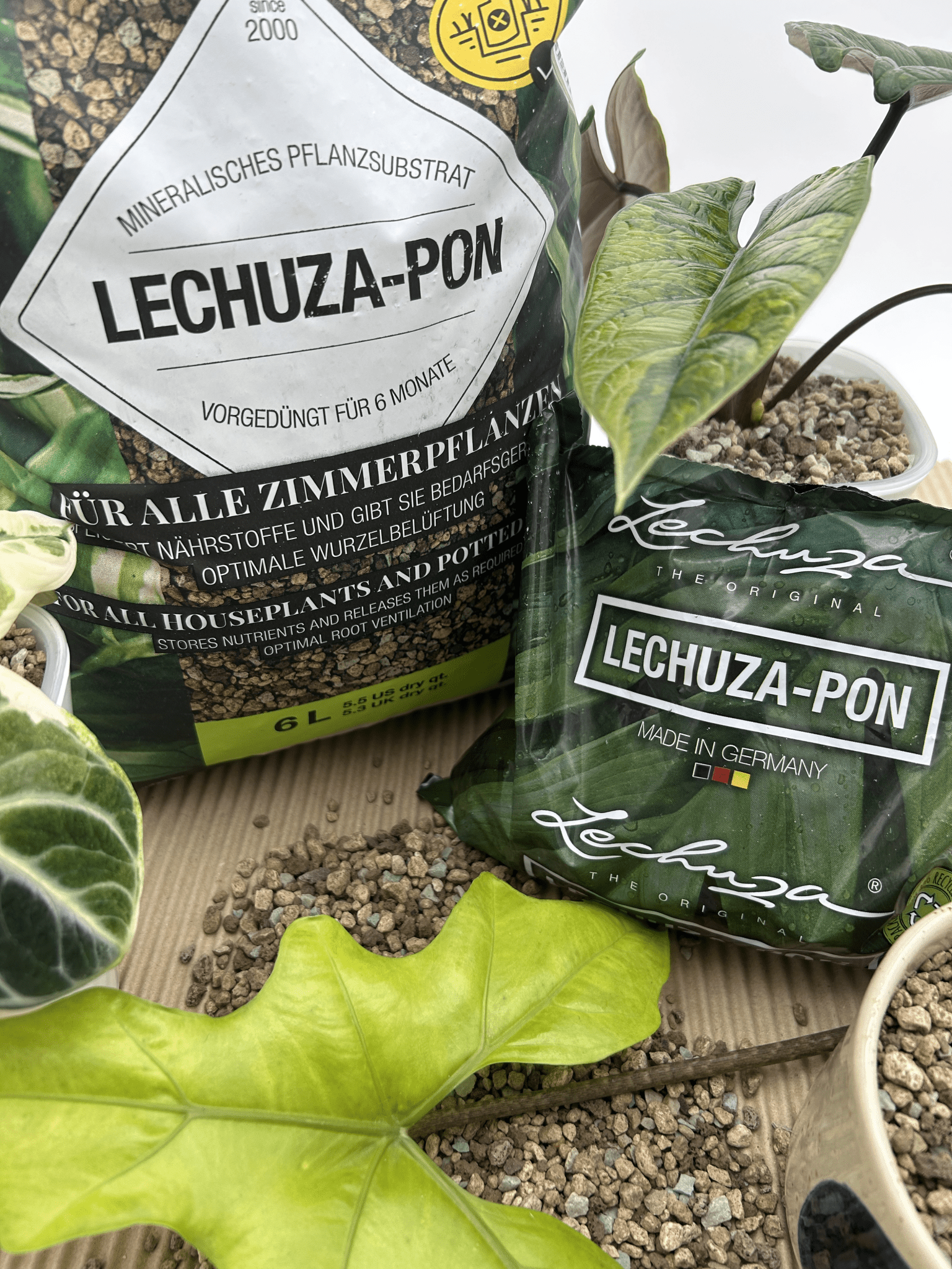 Lechuza Pon - Florigera