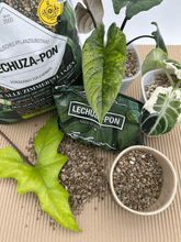 Lechuza Pon - Florigera