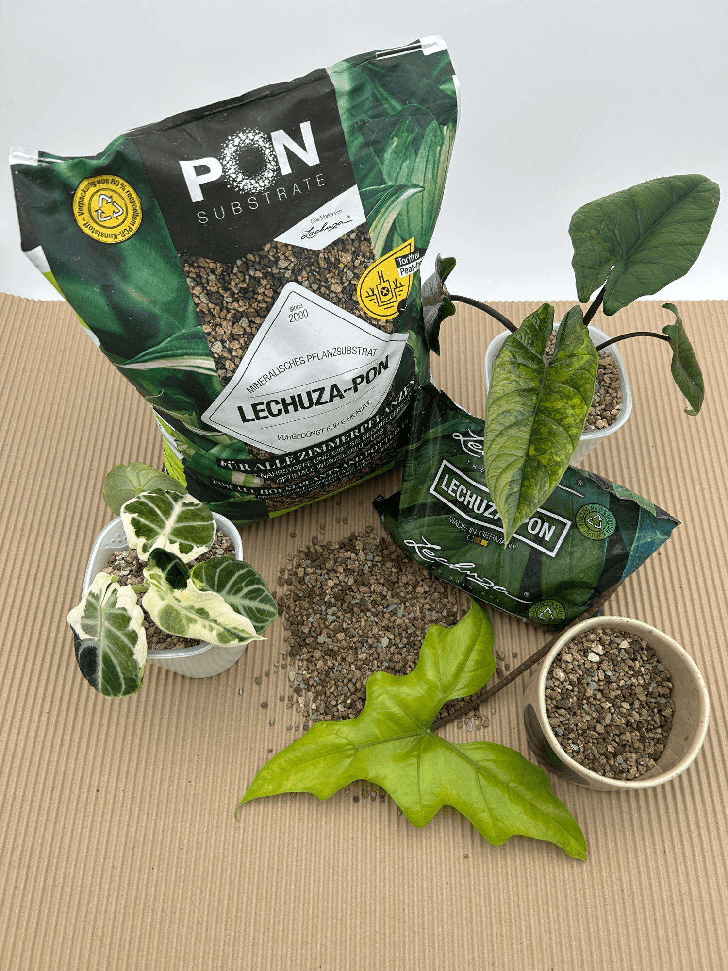 Lechuza Pon - Florigera