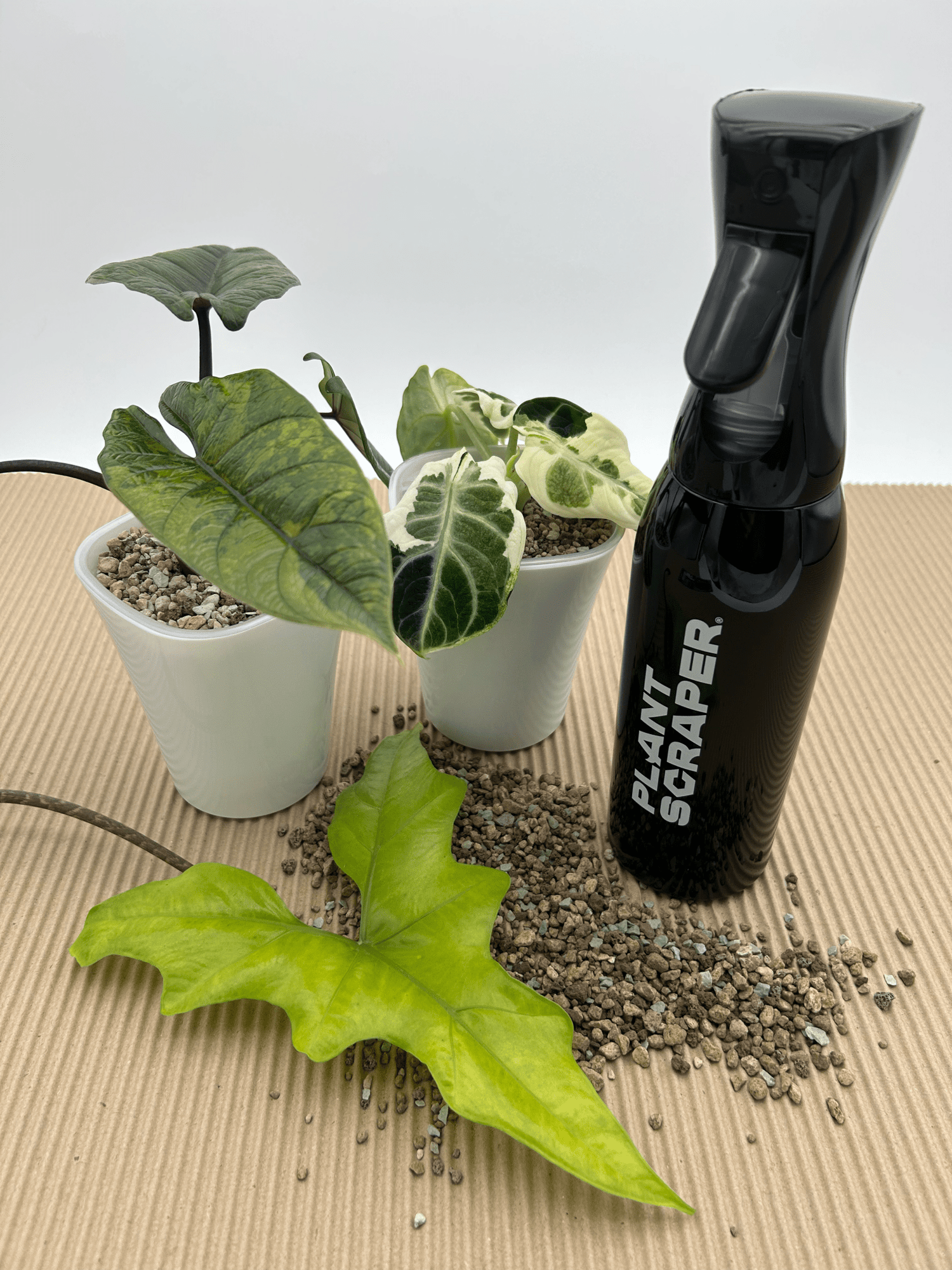 Rain Vibe Bottle 500ml - Florigera