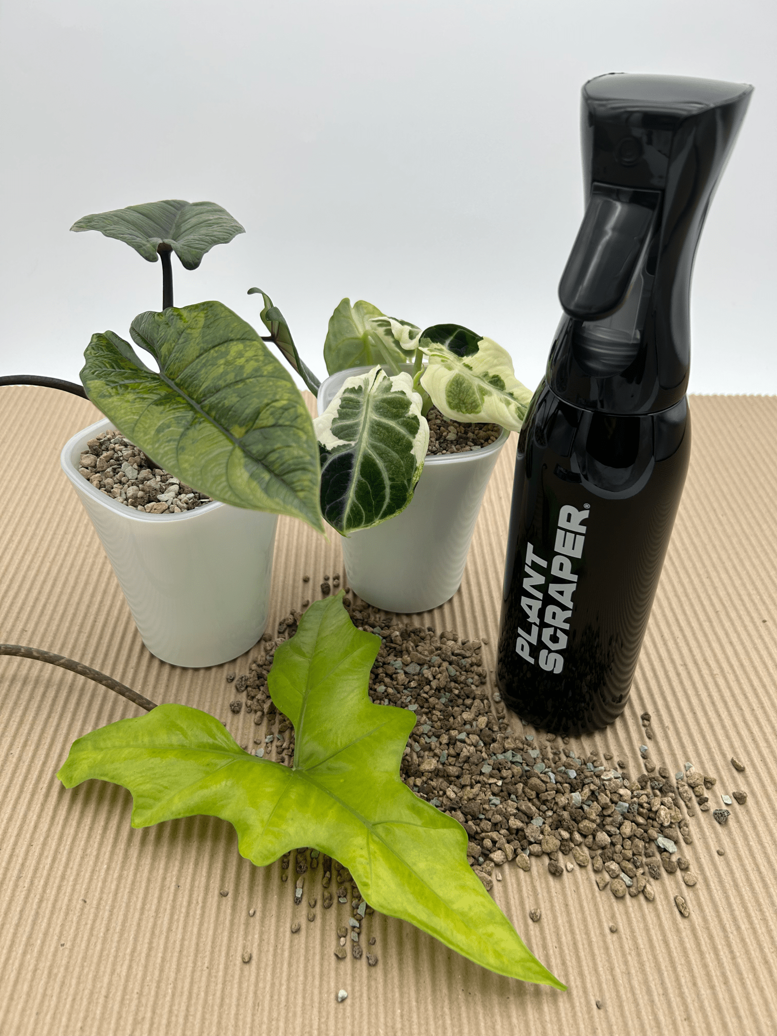 Rain Vibe Bottle 500ml - Florigera