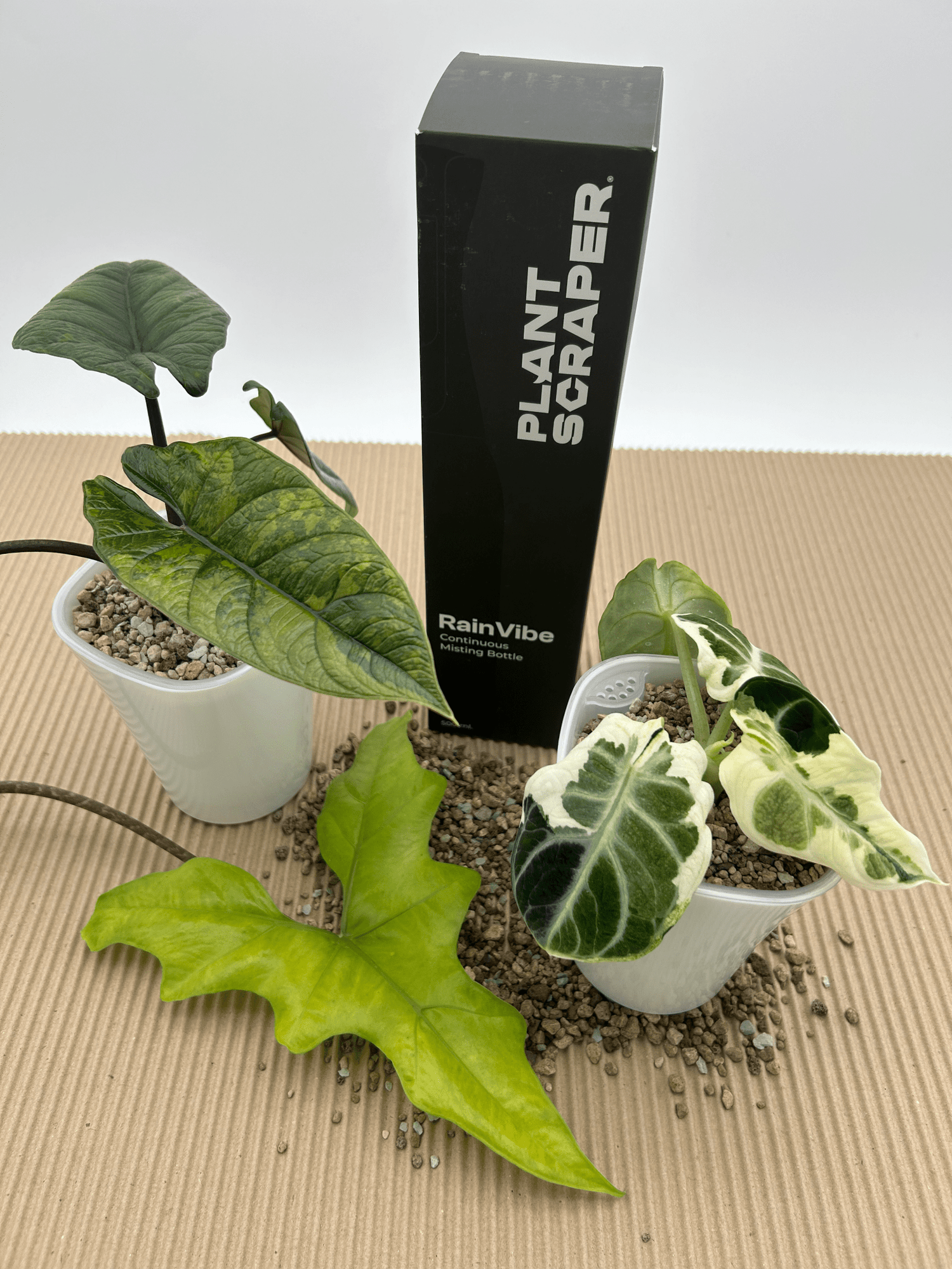 Rain Vibe Bottle 500ml - Florigera