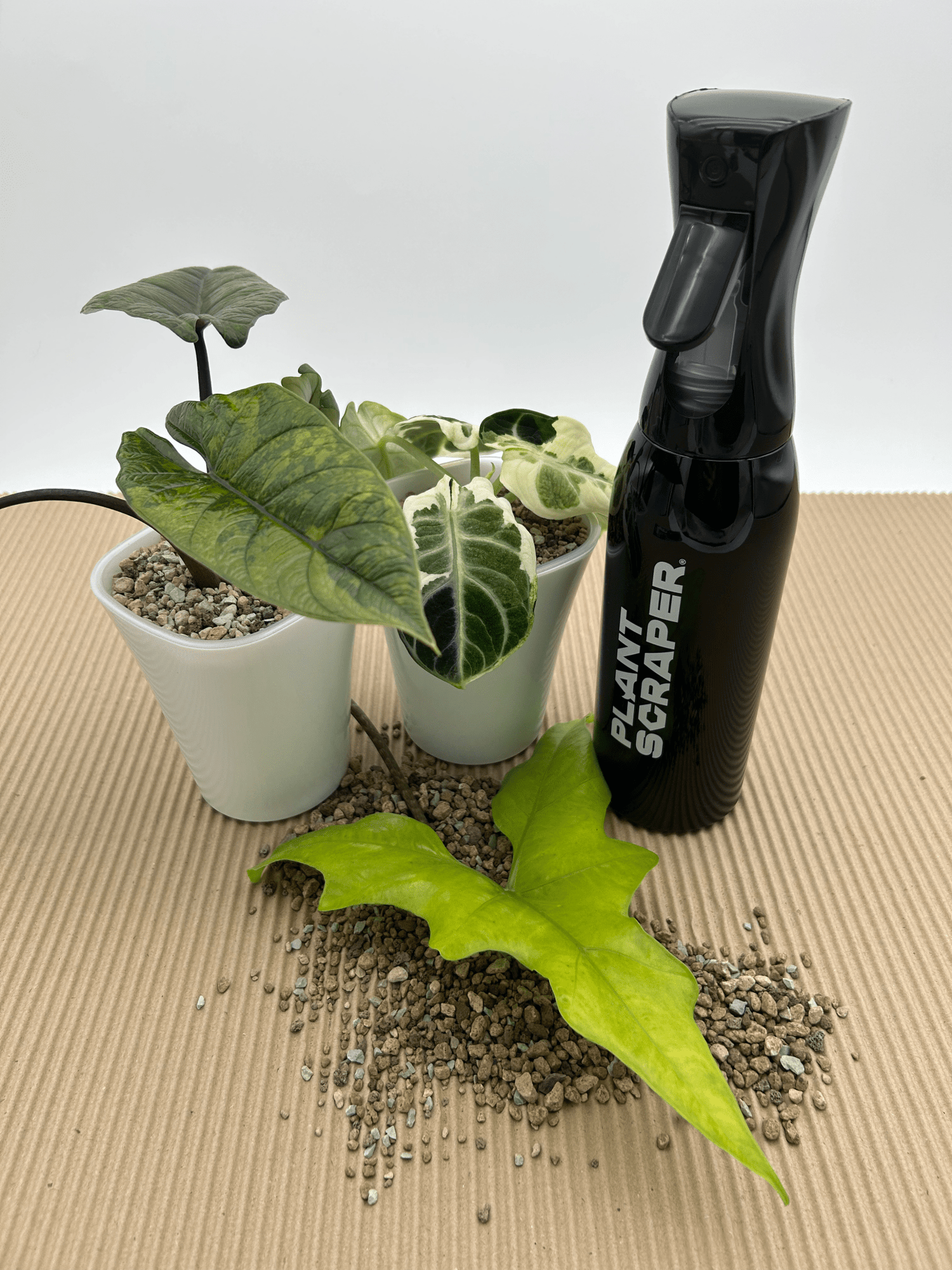 Rain Vibe Bottle 500ml - Florigera