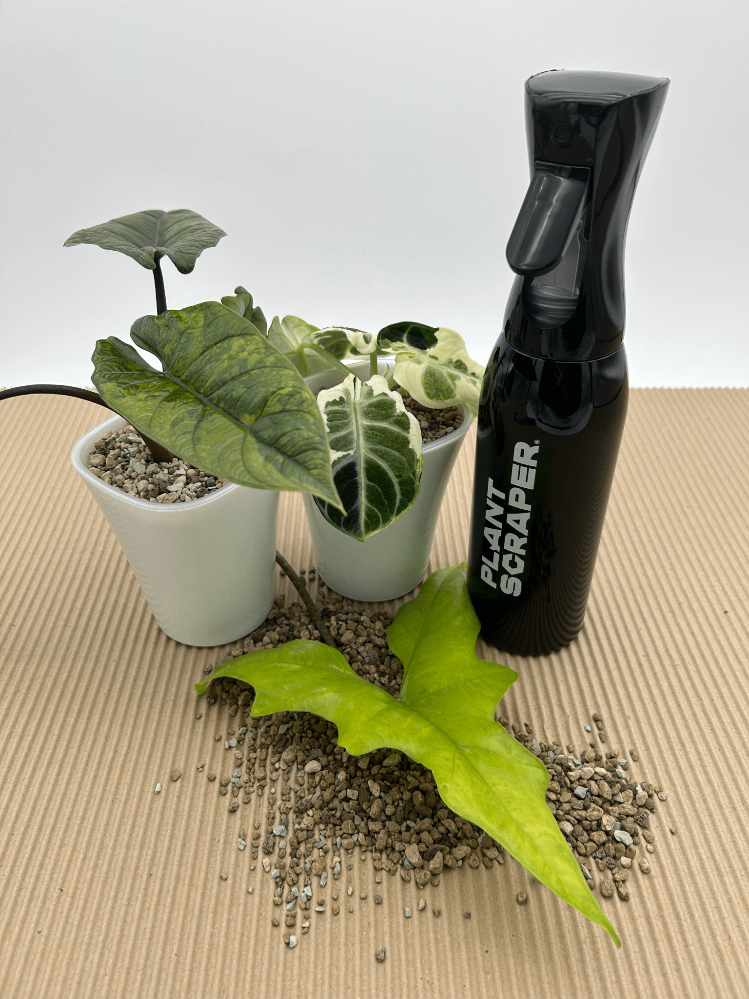 Rain Vibe Bottle 500ml - Florigera